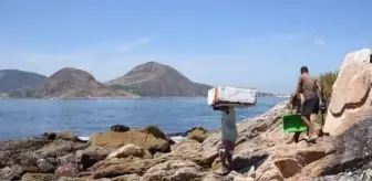 Brezilya'nın Guanabara Körfezi'ndeki balıkçılar