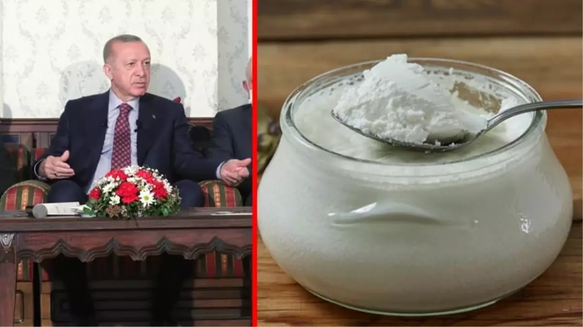 Cumhurbaşkanı Erdoğan her akşam manda yoğurdu yediğini söyledi, belediyenin telefonları kilitlendi!