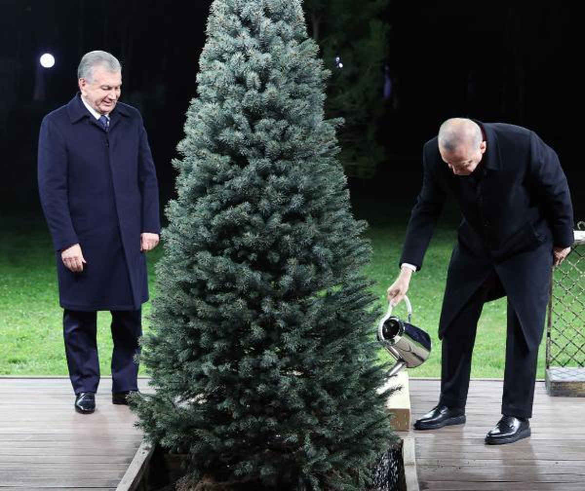 Cumhurbaşkanı Erdoğan, Özbekistan Cumhurbaşkanı Mirziyoyev\'le dostluk ağacı dikti