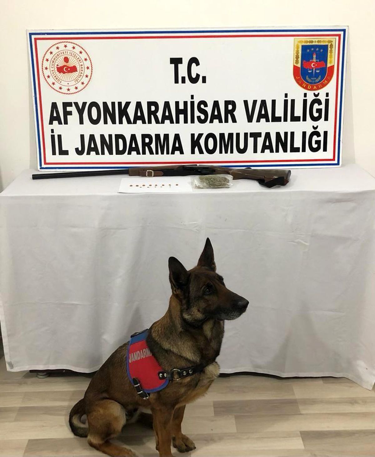 Son dakika haber! Jandarmanın operasyonunda uyuşturucu madde ve tarihi eser ele geçirildi