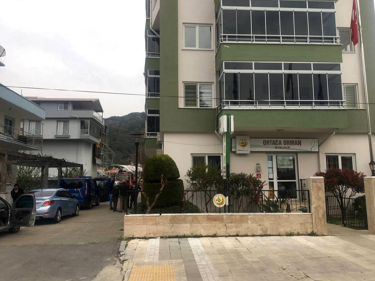 Jandarmanın \'Ormancı\' operasyonunda gözaltı sayısı 25\'e yükseldi