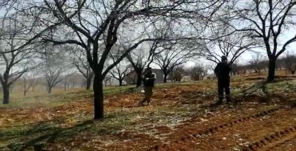 Malatya'da çiftçiler kayısı ağaçlarını ilaçlıyor