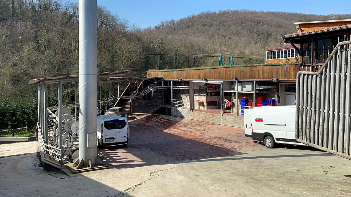 Son dakika... Samsun\'da et entegre tesisindeki bıçaklı kavgada bir kişi öldü