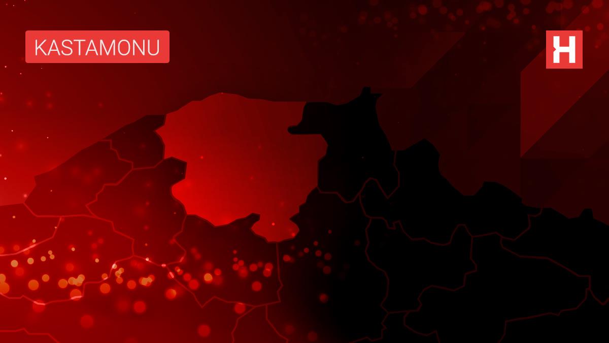 Sinop'ta bitkiler arası hastalık taşıyan iki böcek türü keşfedildi