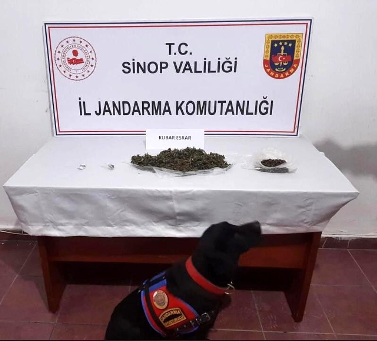 Sinop\'ta uyuşturucu operasyonunda 2 kişi tutuklandı