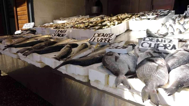 (TRABZON ÖZEL)Trabzon'da tezgahları farklı illerden gelen balıklar süslüyor
