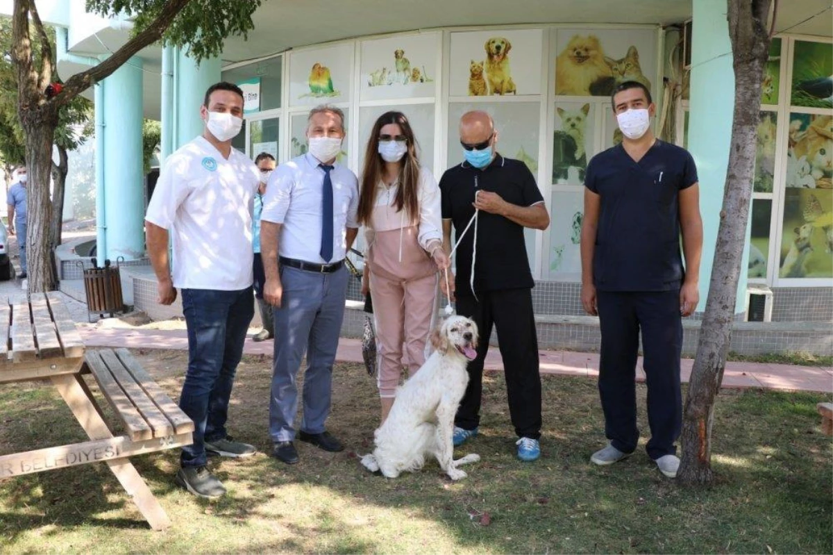 Yaralı bulup tedavi ettirdiği köpek "Joli" milletvekili Bulut\'u unutmadı