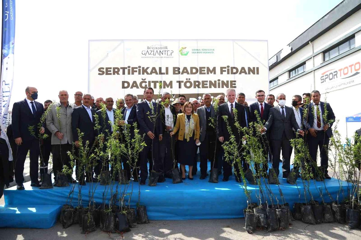 Gaziantep Büyükşehir Belediyesince çiftçilere 20 bin badem fidanı dağıtıldı