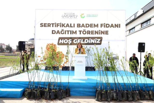 Yavuzeli çiftçisine 20 bin badem fidanı dağıtıldı