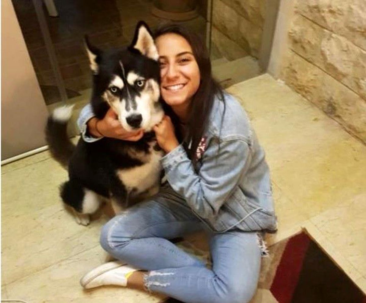 Fransa\'da yanlış tanı konan köpeğin kanseri, İstanbul\'da tedavi edildi