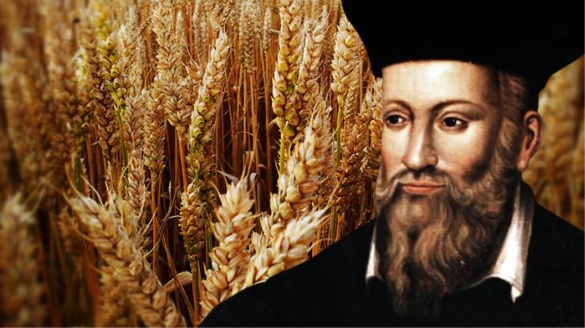 Ünlü kahin Nostradamus\'un 2022 iddiaları korkuttu: Buğday zamlanınca insanlar birbirini yiyecek