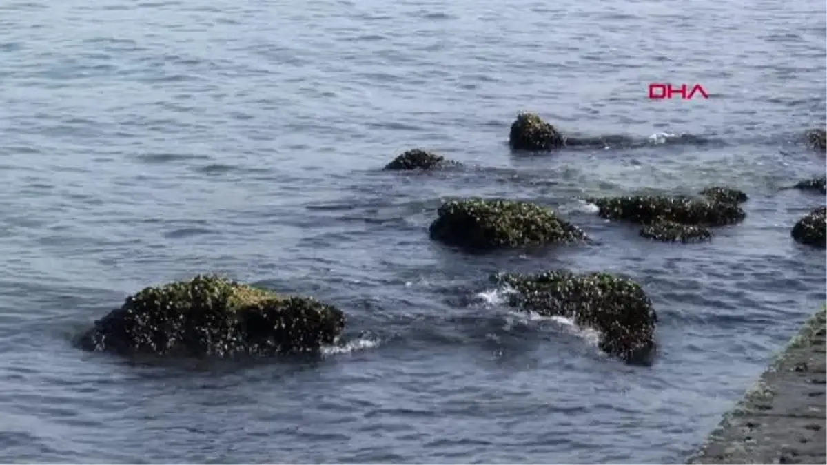 İzmir\'de deniz suyu seviyesi azaldı, Pasaport İskelesi kapatıldı