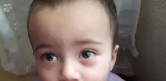 İzmir'de kamyonetin çarptığı Umut, Şanlıurfa'da toprağa verildi