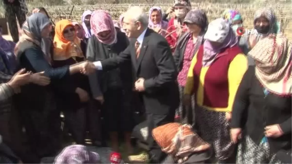 Kılıçdaroğlu, kadın çiftçilerle bağda bir araya geldi