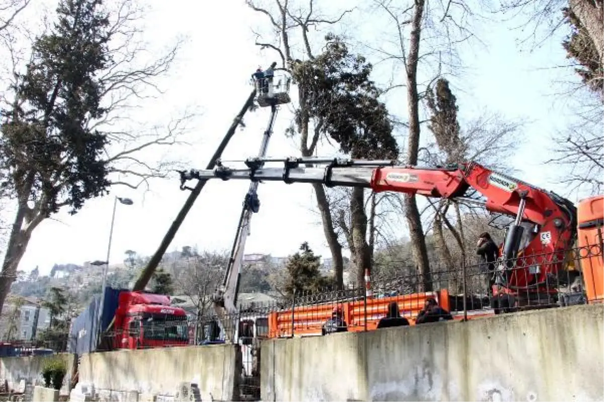 SARIYER\'DE TIR AĞACA ÇARPTI; YOL TRAFİĞE KAPANDI