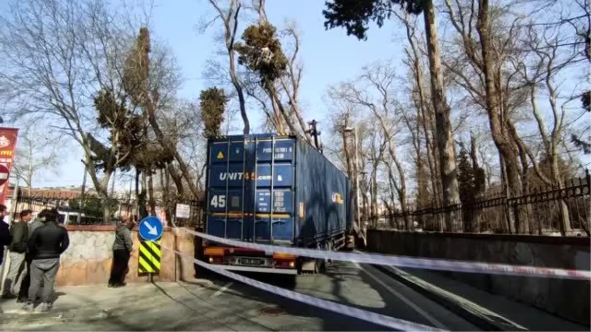 Sarıyer\'de tırın çarptığı ağacın devrilmesi trafik yoğunluğuna neden oldu