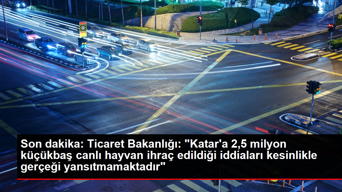 Son dakika: Ticaret Bakanlığı: 'Katar'a 2,5 milyon küçükbaş canlı hayvan ihraç edildiği iddiaları kesinlikle gerçeği yansıtmamaktadır'