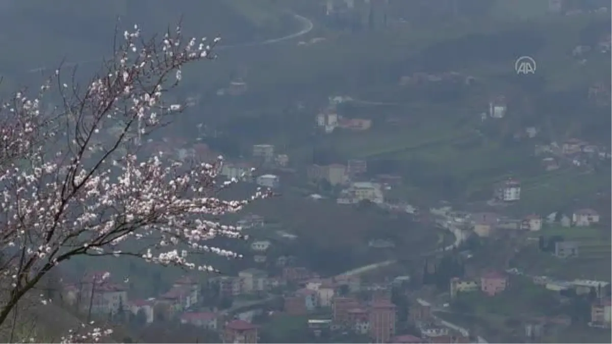 Üretici kadınların pazar tezgahındaki sesi oldu