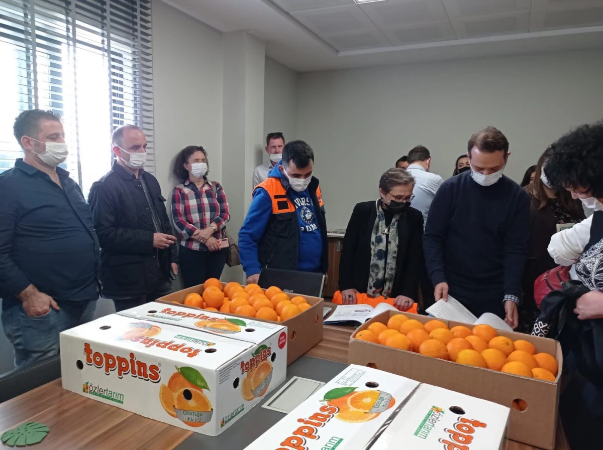 Rusya heyeti, Adana\'da yaş sebze ve meyve tesislerinde incelemelerde bulundu