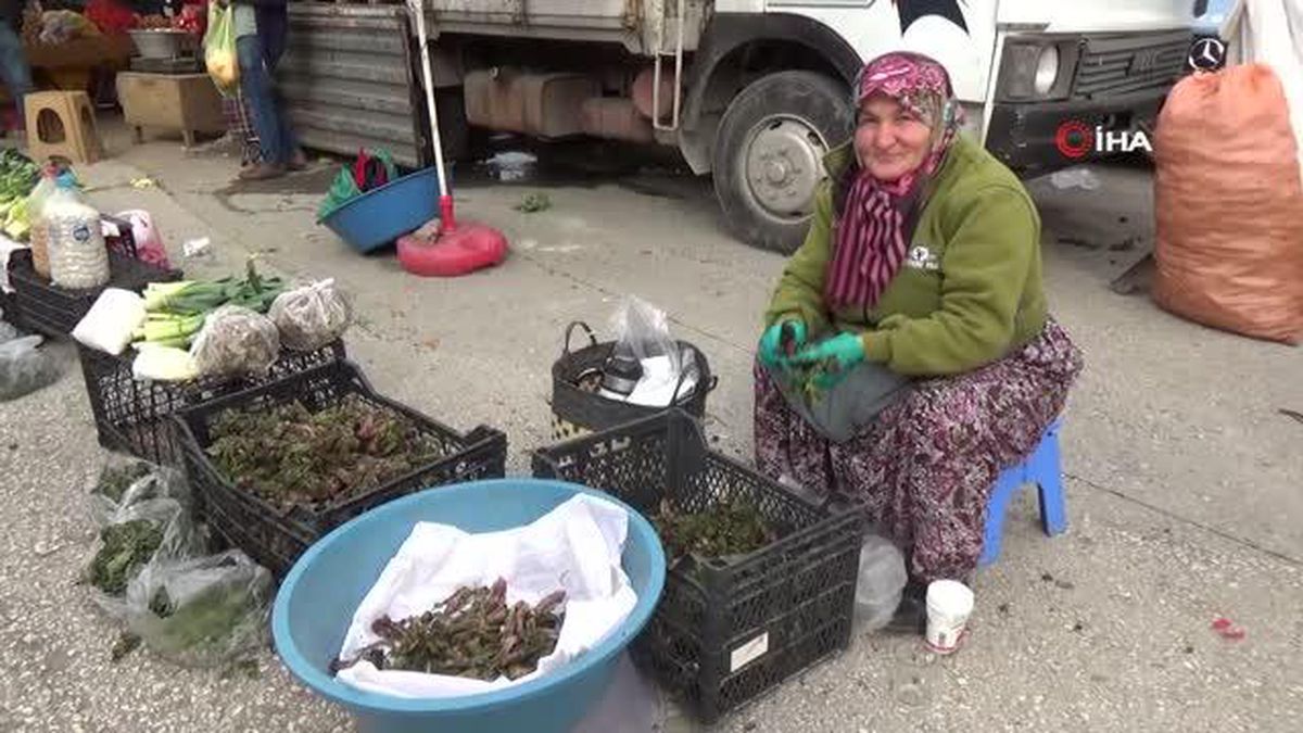 Şifa kaynağı 'Kaldirik otu' pazardaki yerini aldı