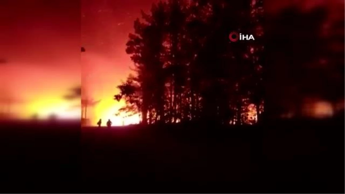Son dakika haberleri | Şili\'de orman yangını yerleşim yerlerine sıçradı