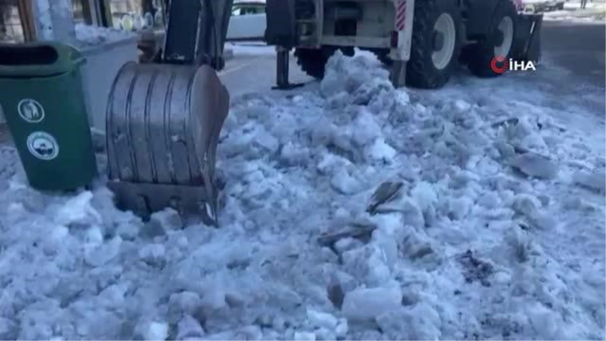 Ardahan Belediyesi karla mücadeleye devam ediyor