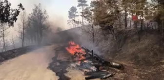 Bayramiç'teki orman yangını devam ediyor