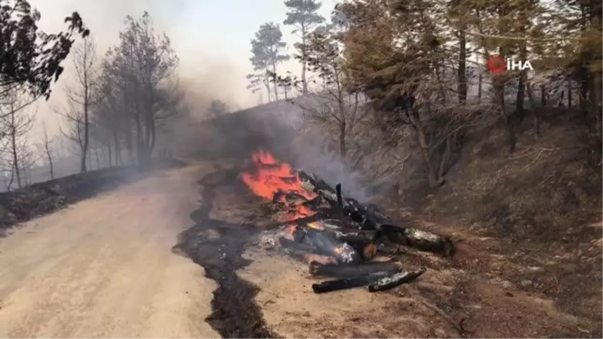 Bayramiç'teki orman yangını devam ediyor