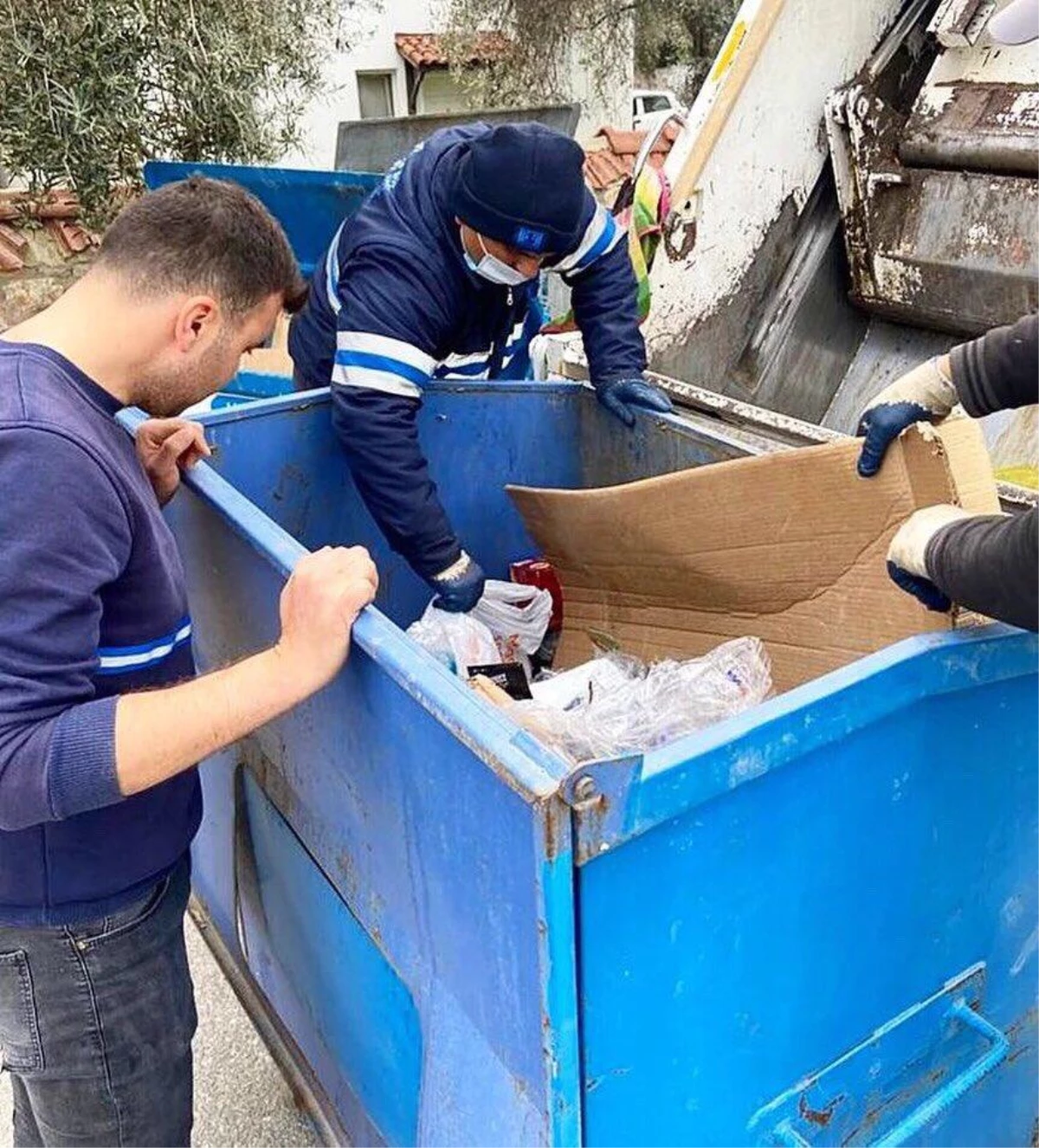 Bodrum\'da çöp konteynerinde bulunan kedi ve yavruları korumaya alındı