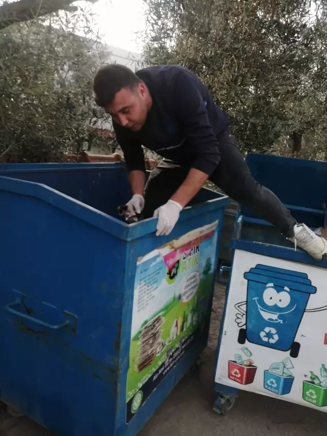 Bodrum'da çöp konteynerinde bulunan kedi ve yavruları korumaya alındı