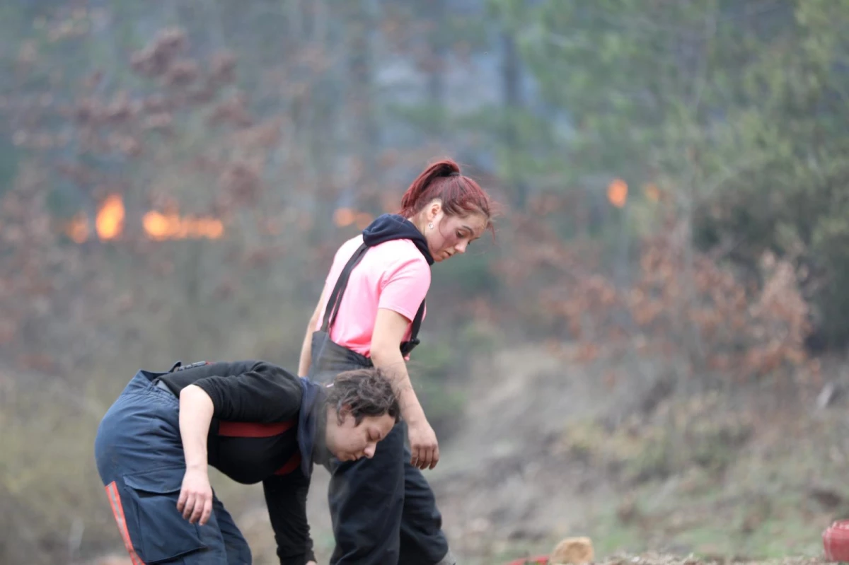 Orman yangınında 60 hektarlık alan zarar gördü