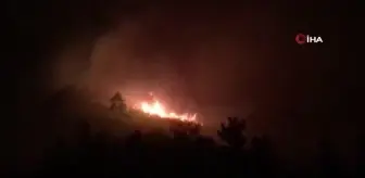 Çanakkale'deki orman yangını soğuk hava deposu tesislerini tehdit ediyor