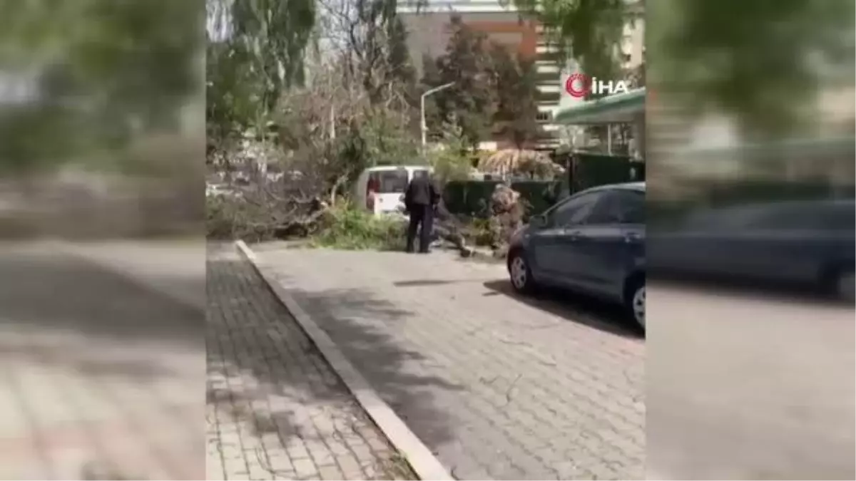 İzmir\'de şiddetli fırtına hayatı olumsuz etkiledi... Çatılar uçtu, ağaçlar devrildi