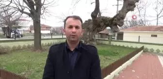 Şair ve yazar Sabahattin Ali'nin Yeniceli olduğu şecere ile anlaşıldı
