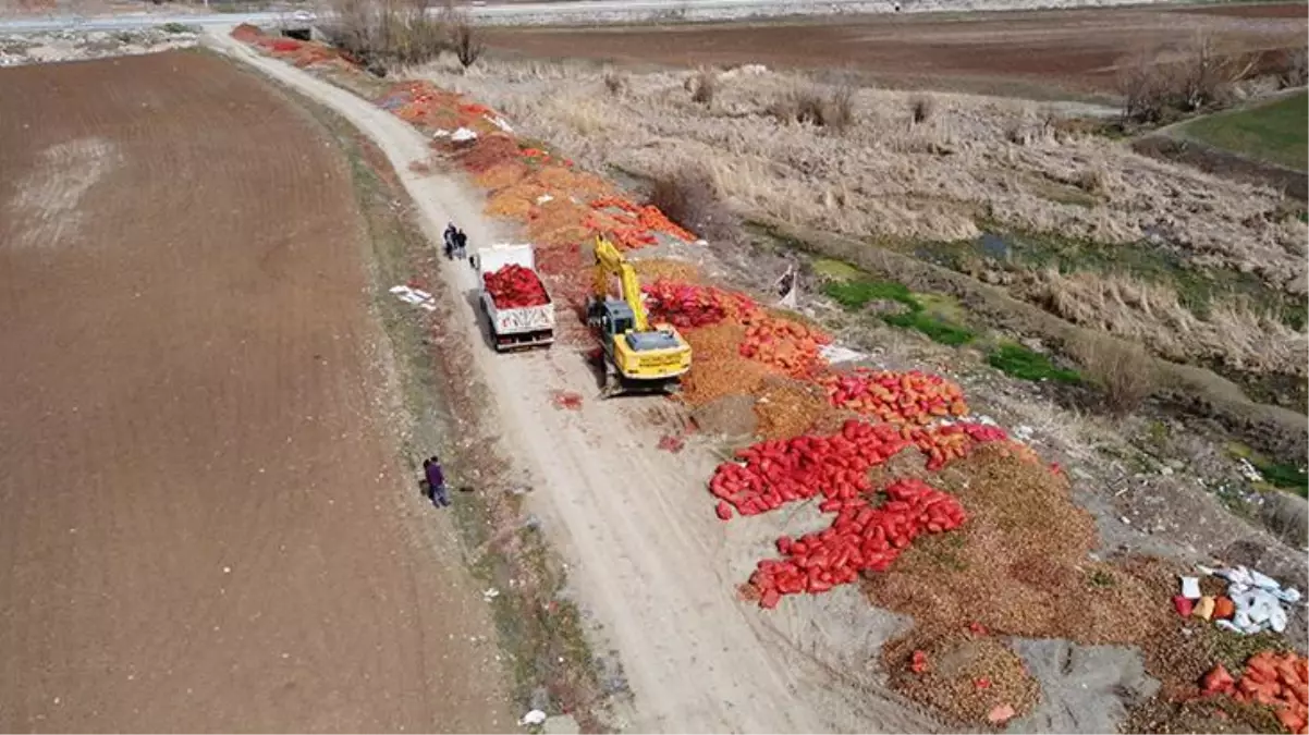 Çorum\'da yol kenarına atılan soğanları belediye ekipleri imha etti