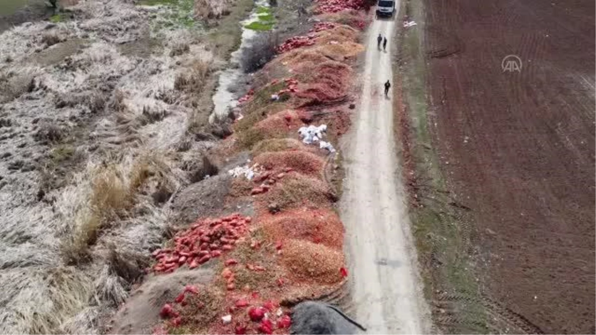 Yol kenarına dökülen soğanlar iş makineleriyle kaldırılıyor