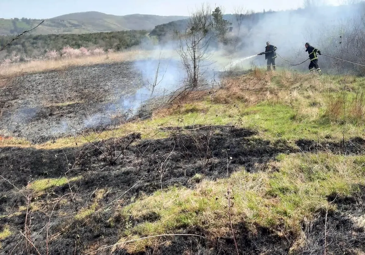 Son dakika! Altınova\'da arazi yangını kısa sürede söndürüldü