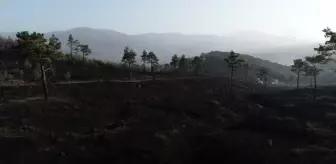 (DRONE) Bursa'da dün başlayan orman yangınlarının kontrol altına alındı