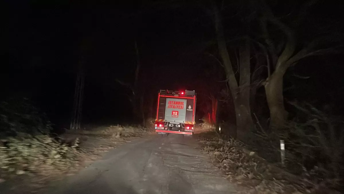 Maltepe\'de çıkan orman yangını söndürüldü