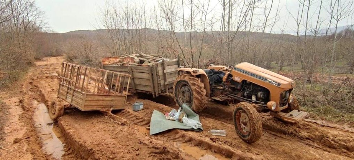 Kaçak kesim yapan 2 kişi suç üstü yakalandı