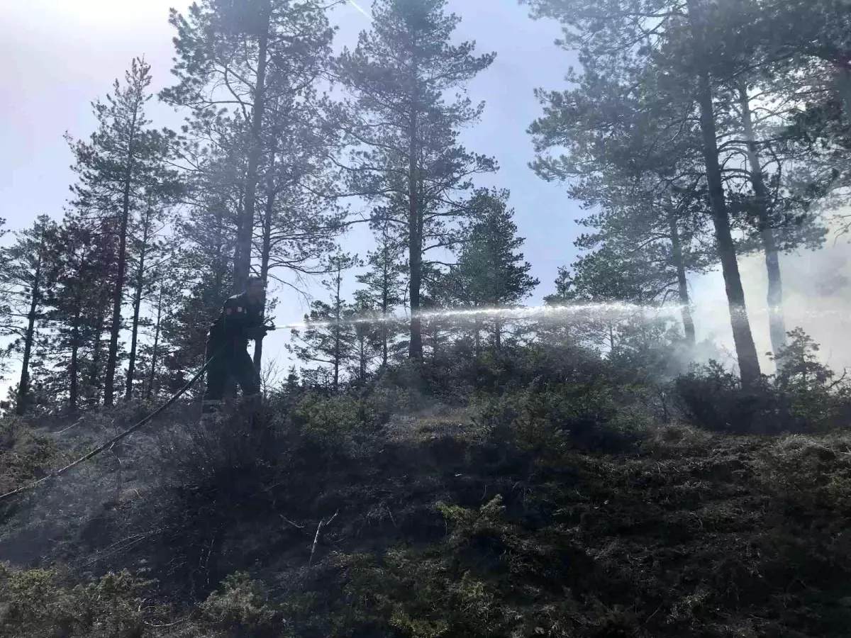 Kastamonu\'da orman yangını... Polis ekiplerinin dikkati sayesinde büyümeden söndürüldü