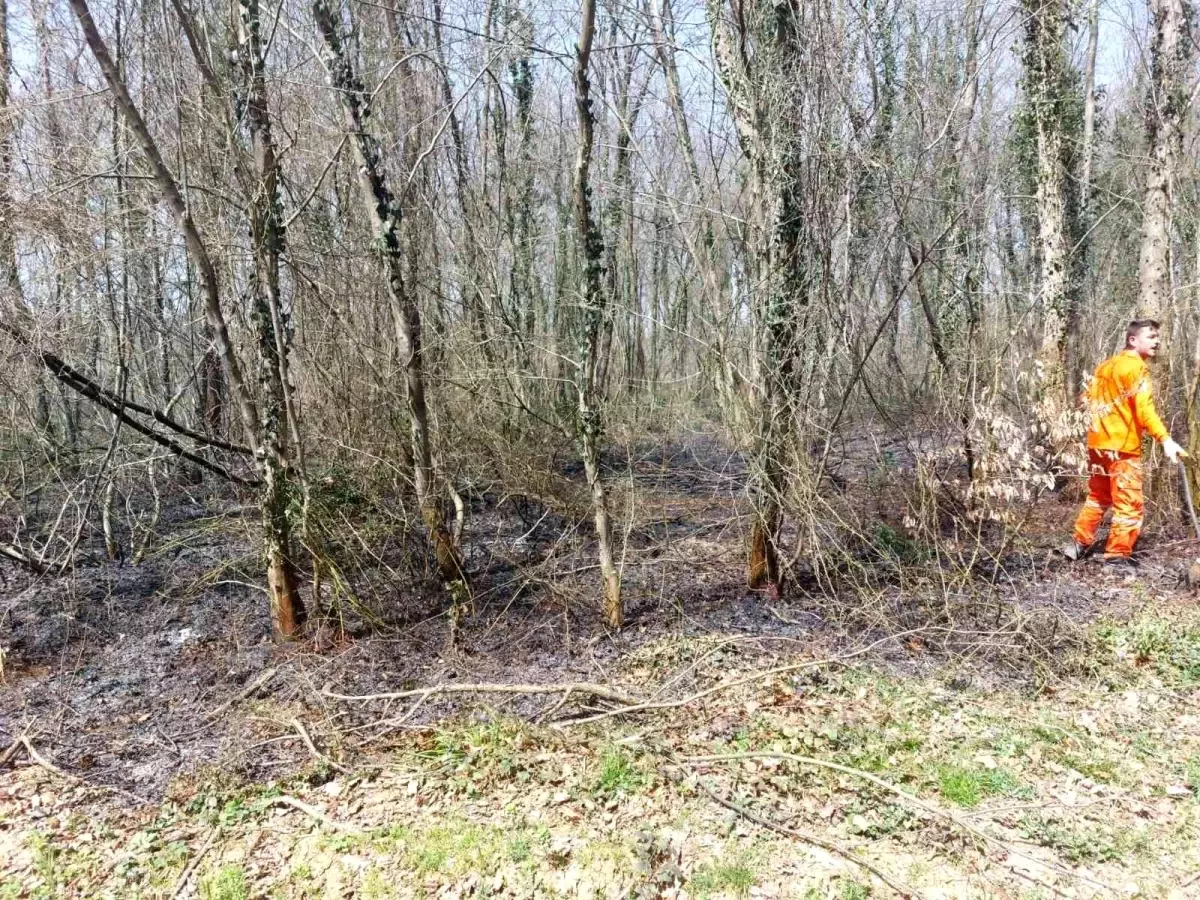 Ormanlık alanlarda çıkan yangın büyümeden söndürüldü