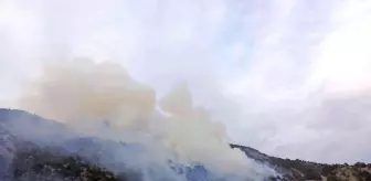 Çorum'daki orman yangını kontrol altına alındı