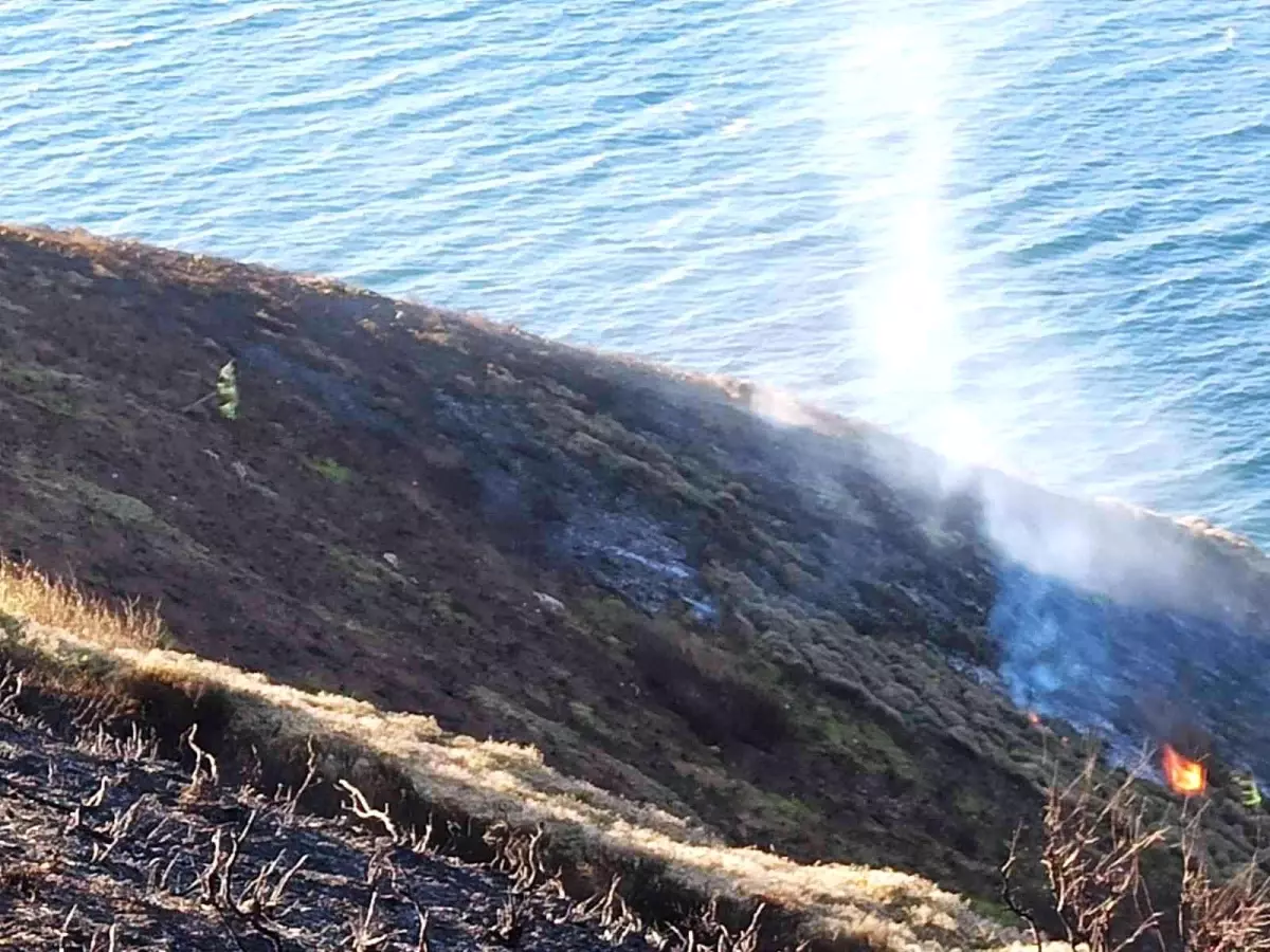 Bandırma\'da çıkan yangında üç buçuk dekarlık alan kül oldu