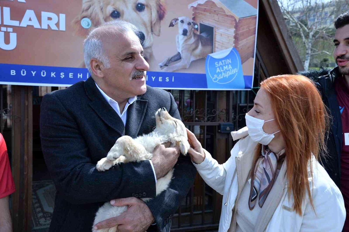 Büyükşehirden sahipsiz canlara özel etkinlik