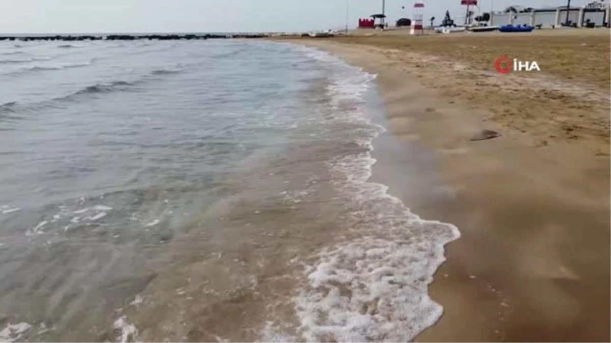 Mersin\'de kıyıya vuran ölü denizanaları için uzmanlardan uyarı "O bölgelerde denize girmeyin"
