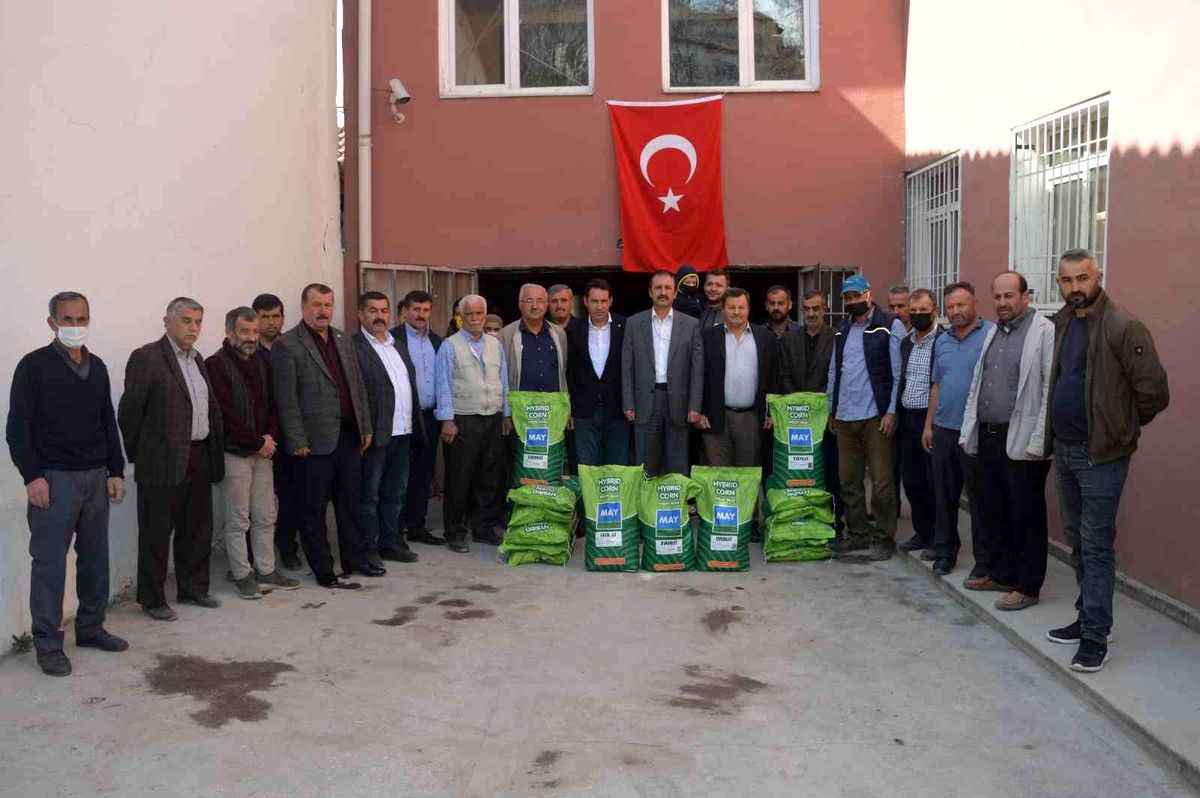 Niksar'da çiftçilere silajlık mısır tohumu dağıtıldı