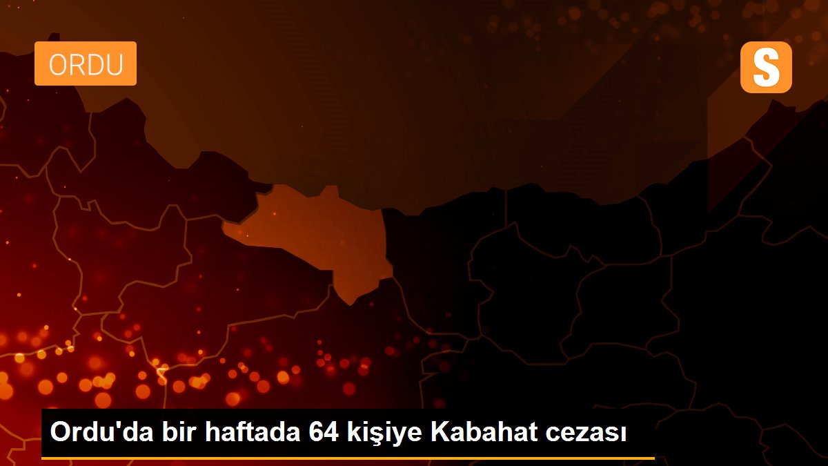Ordu\'da bir haftada 64 kişiye Kabahat cezası