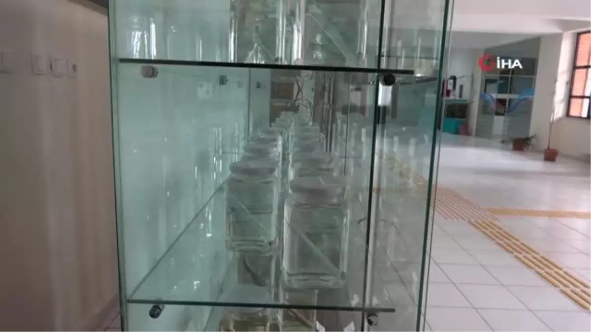 Türkiye\'nin en zengin balık müzesine yurt dışından yoğun ilgi