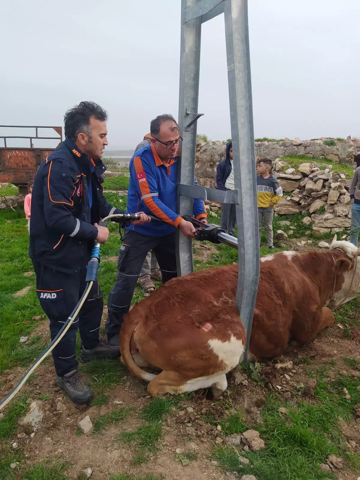 Adıyaman\'da elektrik direğine sıkışan inek kurtarıldı